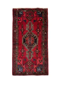 Hamadan Medallion Runner