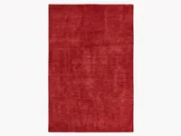 Indian Plain Crimson