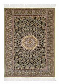 Qom Gonbad Olive
