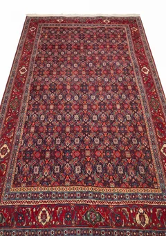 Bijar All-Over Herati Navy