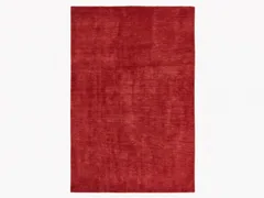 Indian Plain Crimson